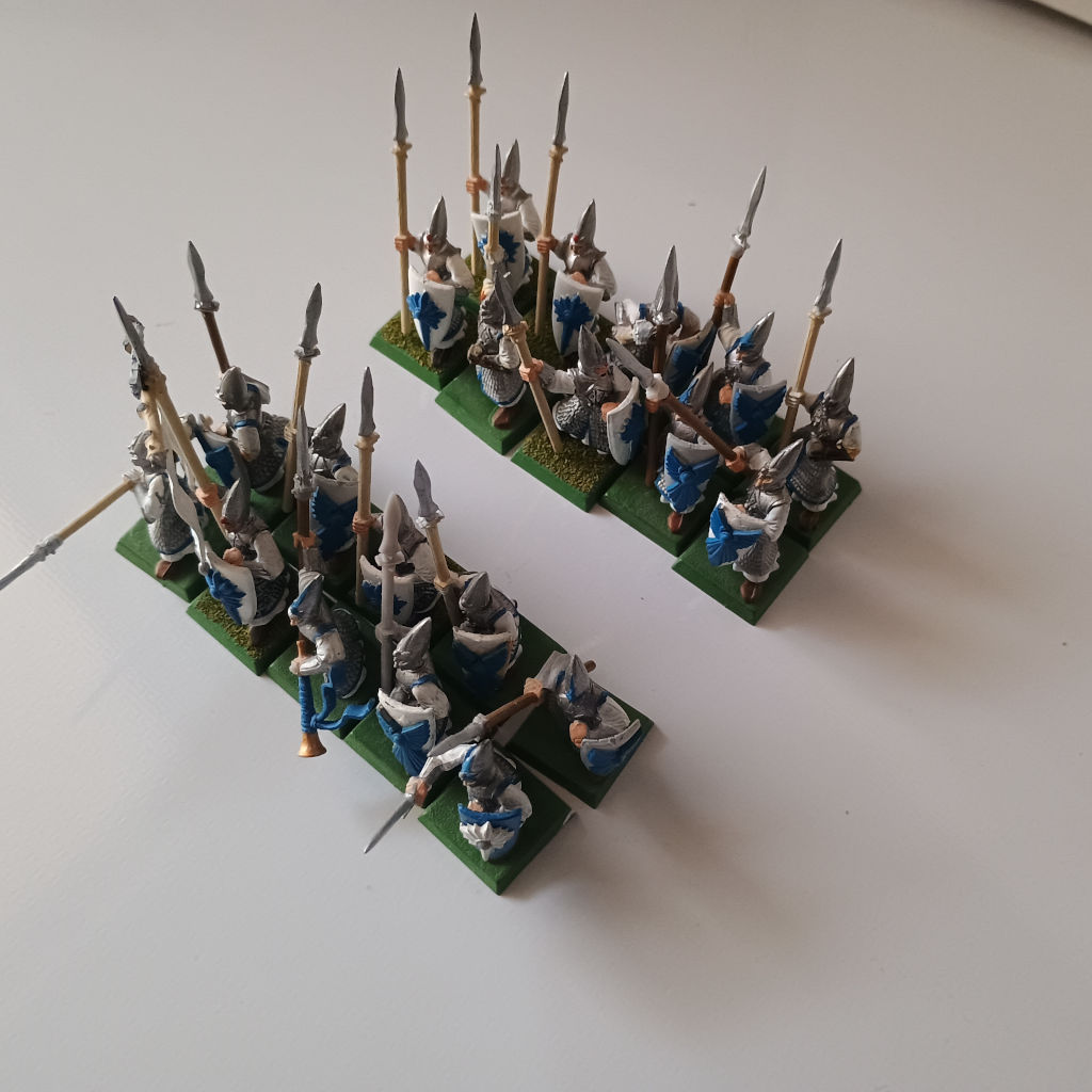 High Elves Elven Spearmen x20
