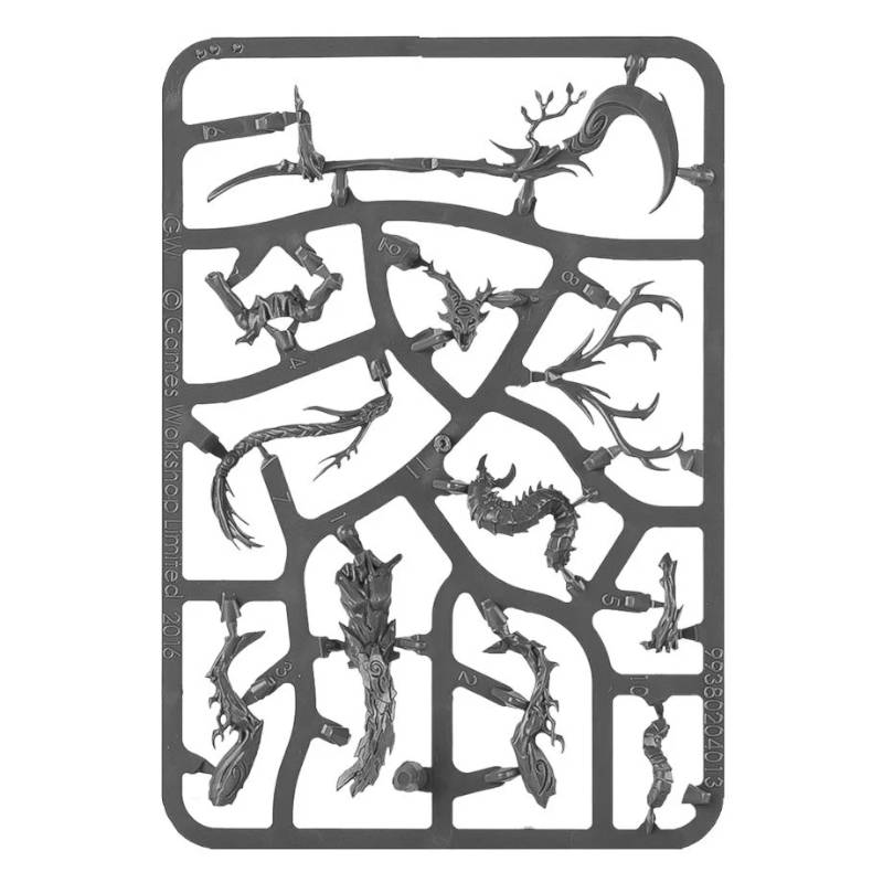 Sylvaneth Branchwych New on Sprue