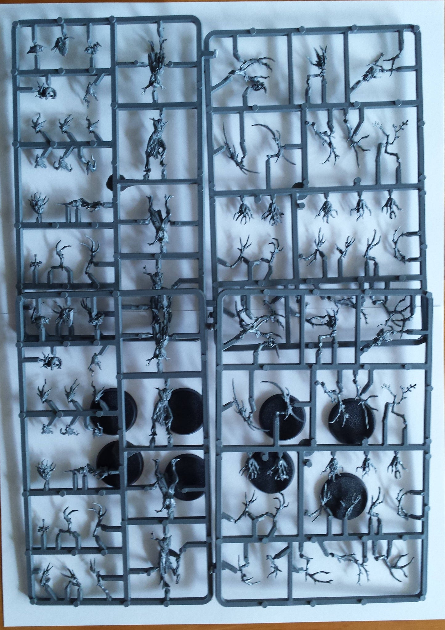 Sylvaneth Dryads x 8 New on Sprue