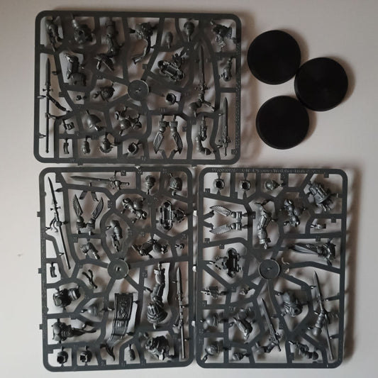 Blood Angels Sanguinary Guard New on Sprue