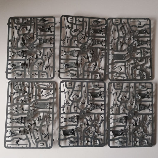 Dark Elves Black Guard x10 New on Sprue