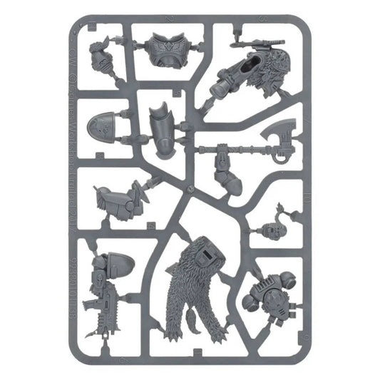 Space Wolves Primaris Lieutenant New on Sprue