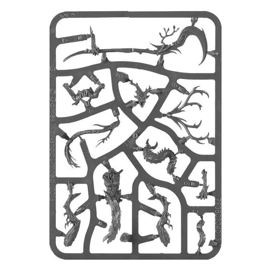 Sylvaneth Branchwych New on Sprue